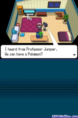 Pokémon White Version — Nintendo DS Screenshot - Gameplay