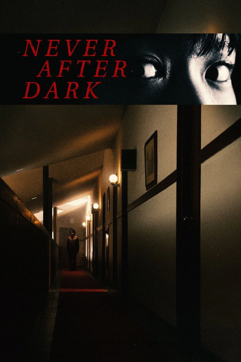Never After Dark movie artwork